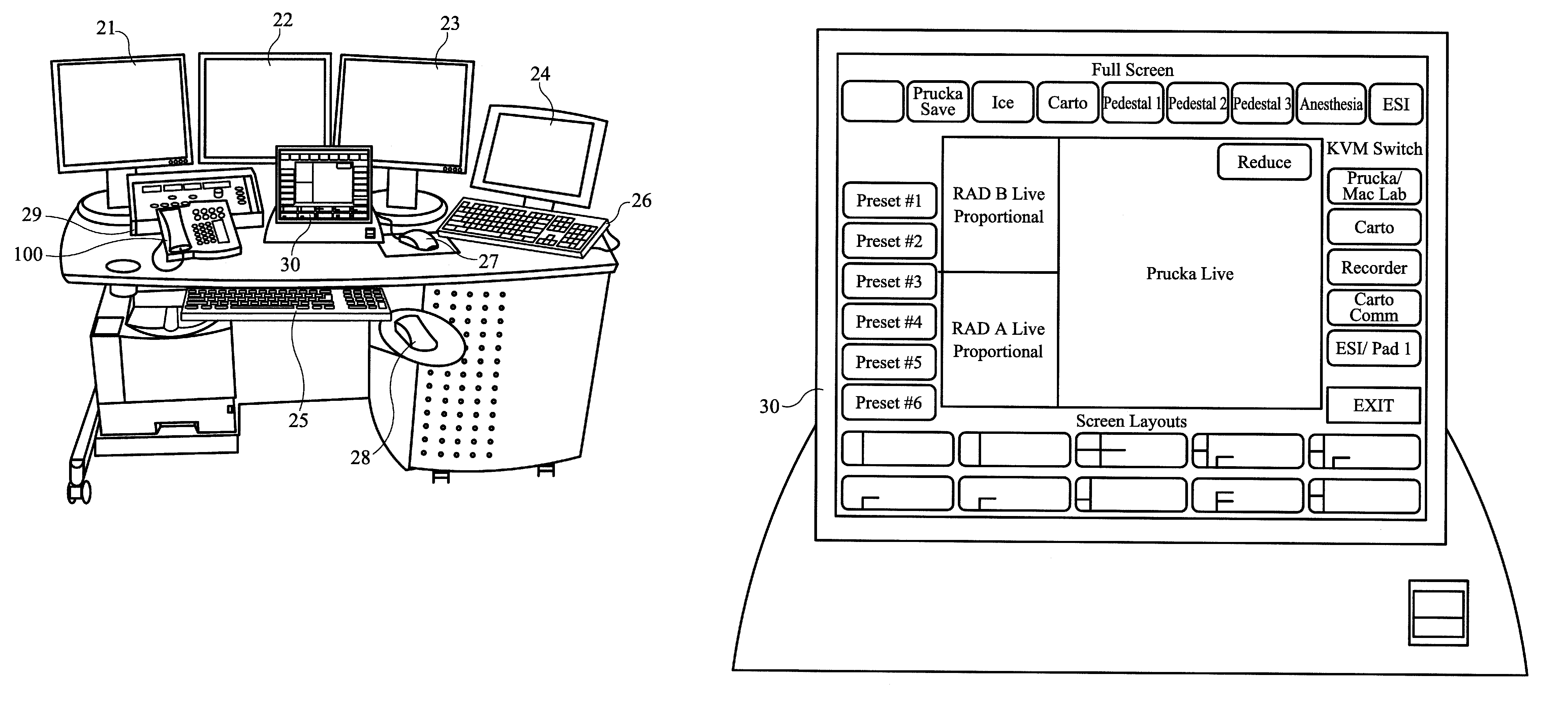 Multiple-input selectable systems integrated display and control functions unit for electrophysiology and the like