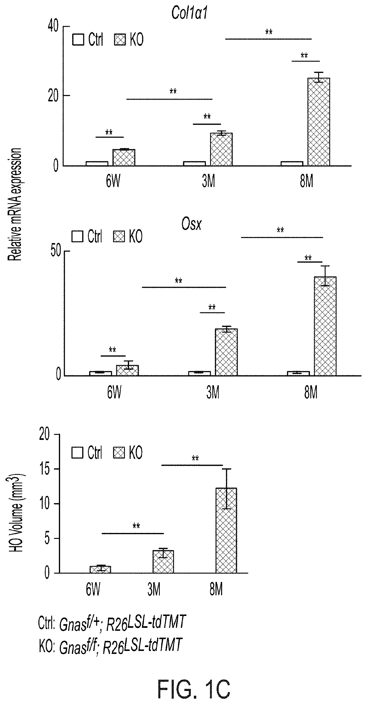 Methods and compositions for treating heterotopic ossification