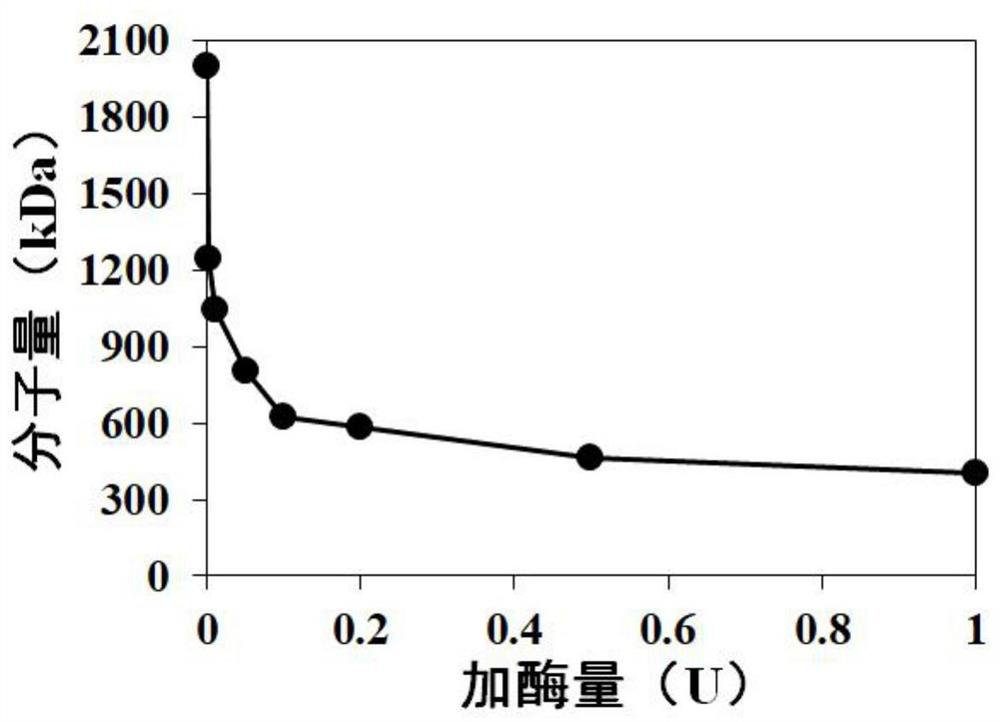 Endo-1, 3-fucoidan enzyme and application thereof