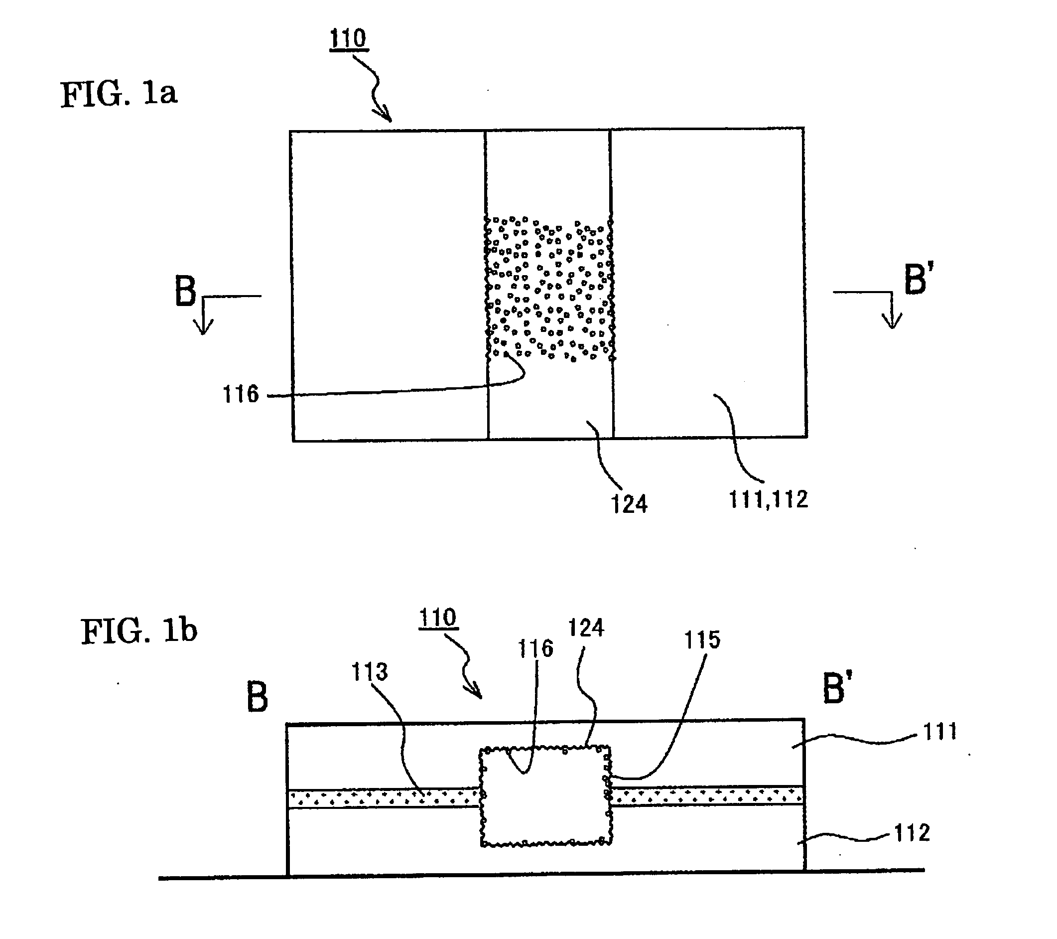Microchannel and Microfluid Chip