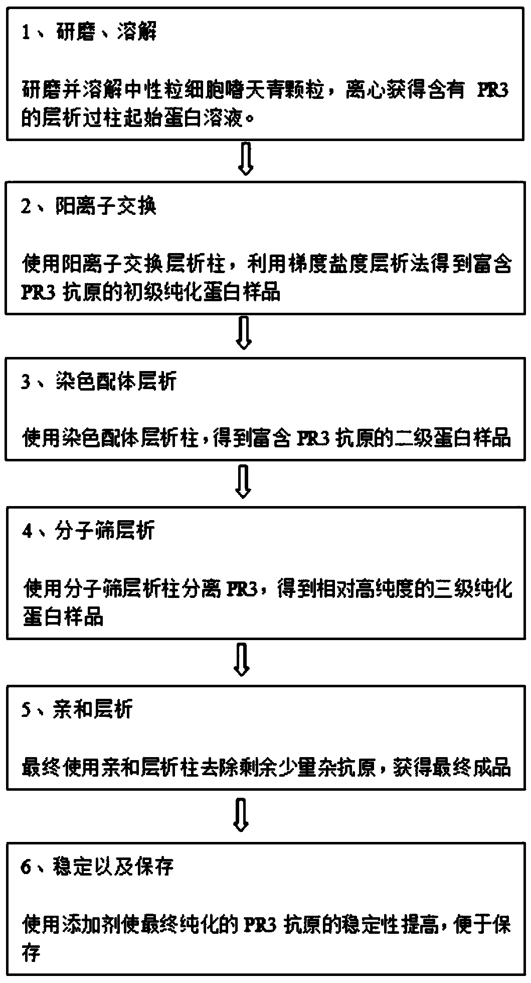 Method for separating and purifying natural protease 3 from azurophilic granules of human blood neutrophile granulocytes