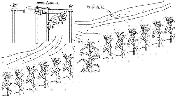 Auxiliary pollination machine for increasing production in multi-rotor breeding fields