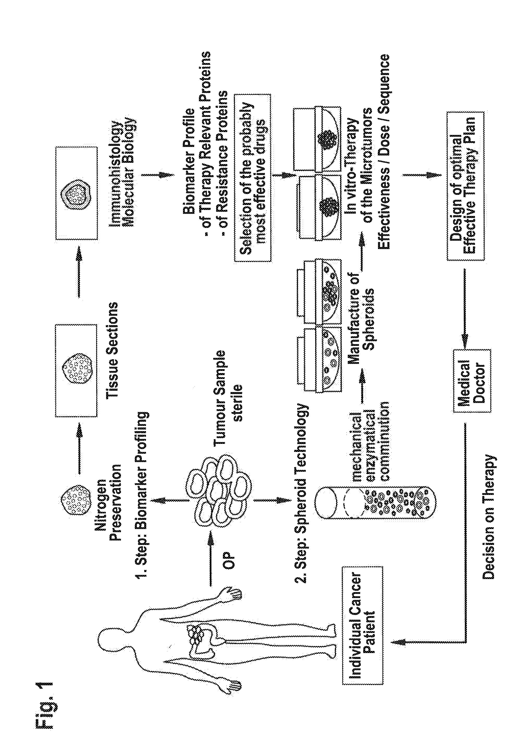 Method for Testing the Response of Cells to Exposure with Therapeutics