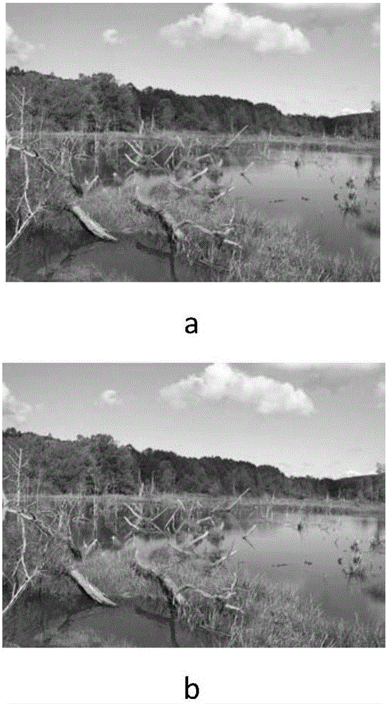 Image steganography method based on Gibbs sampling