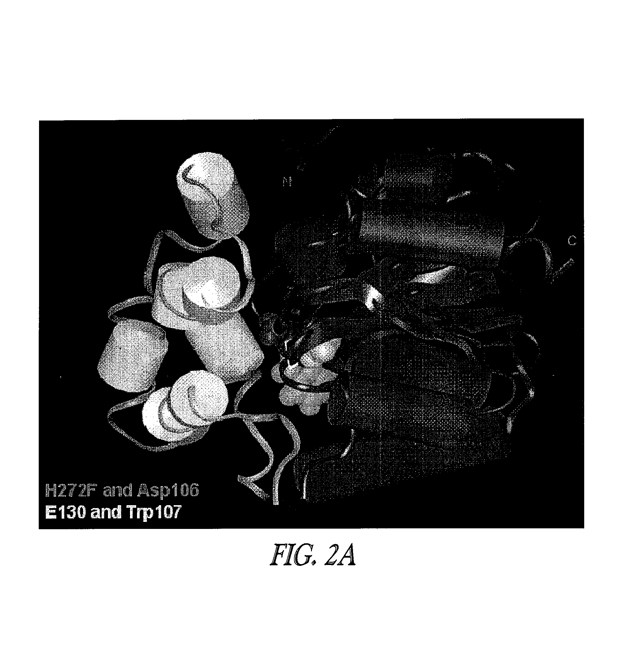 Covalent tethering of functional groups to proteins and substrates therefor