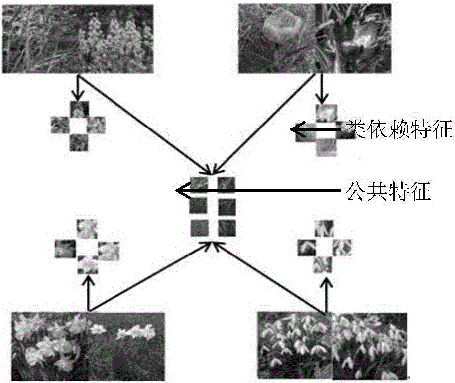Fine grain image classification method based on common dictionary pair and class-specific dictionary pair