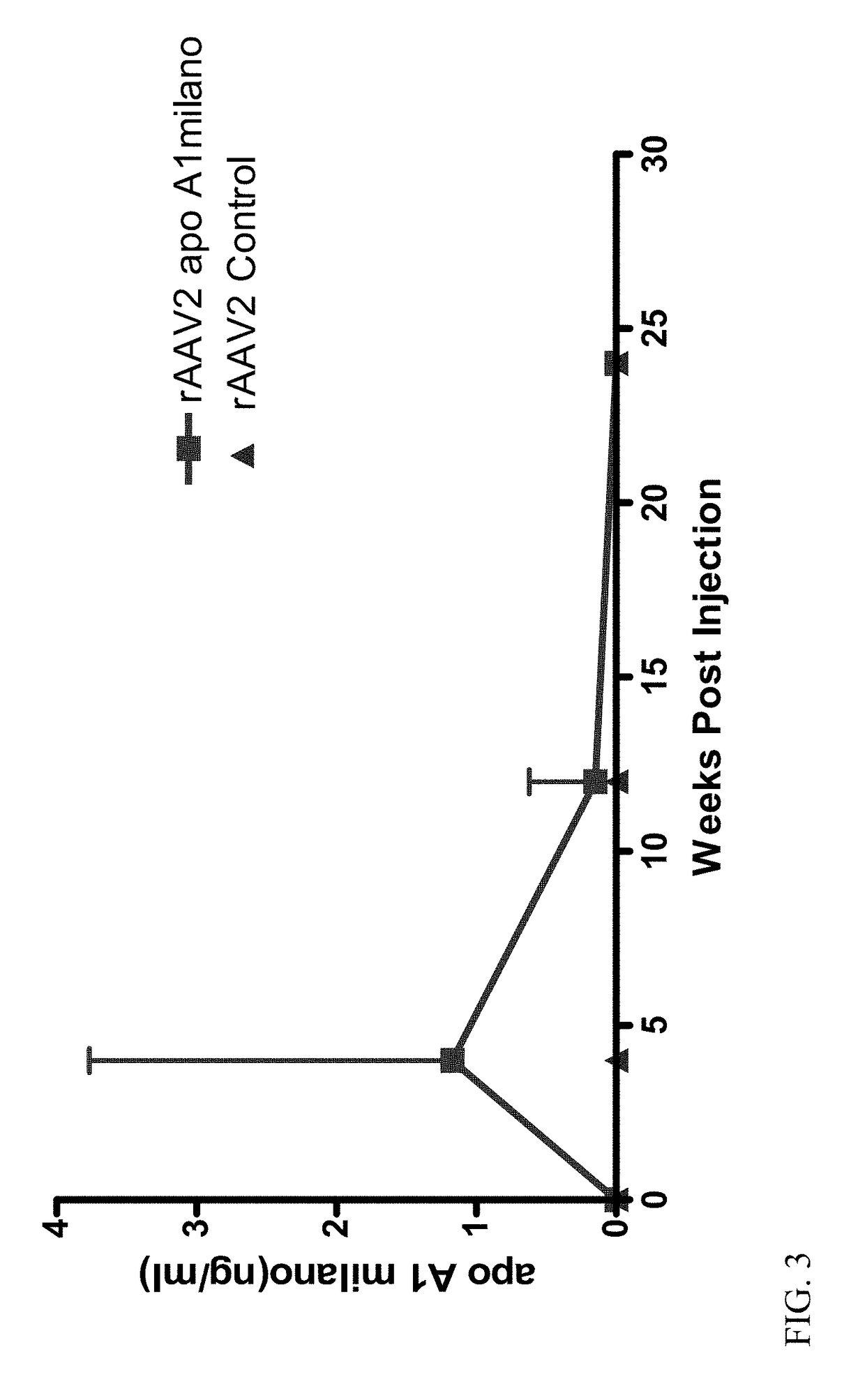 Atherosclerosis inhibition via modulation of monocyte-macrophage phenotype using apo a-i milano gene transfer