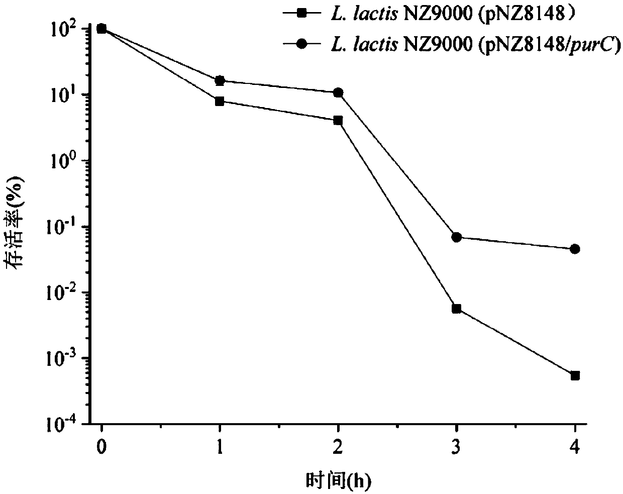 Lactic acid bacteria engineering strain with improved acid stress resistance