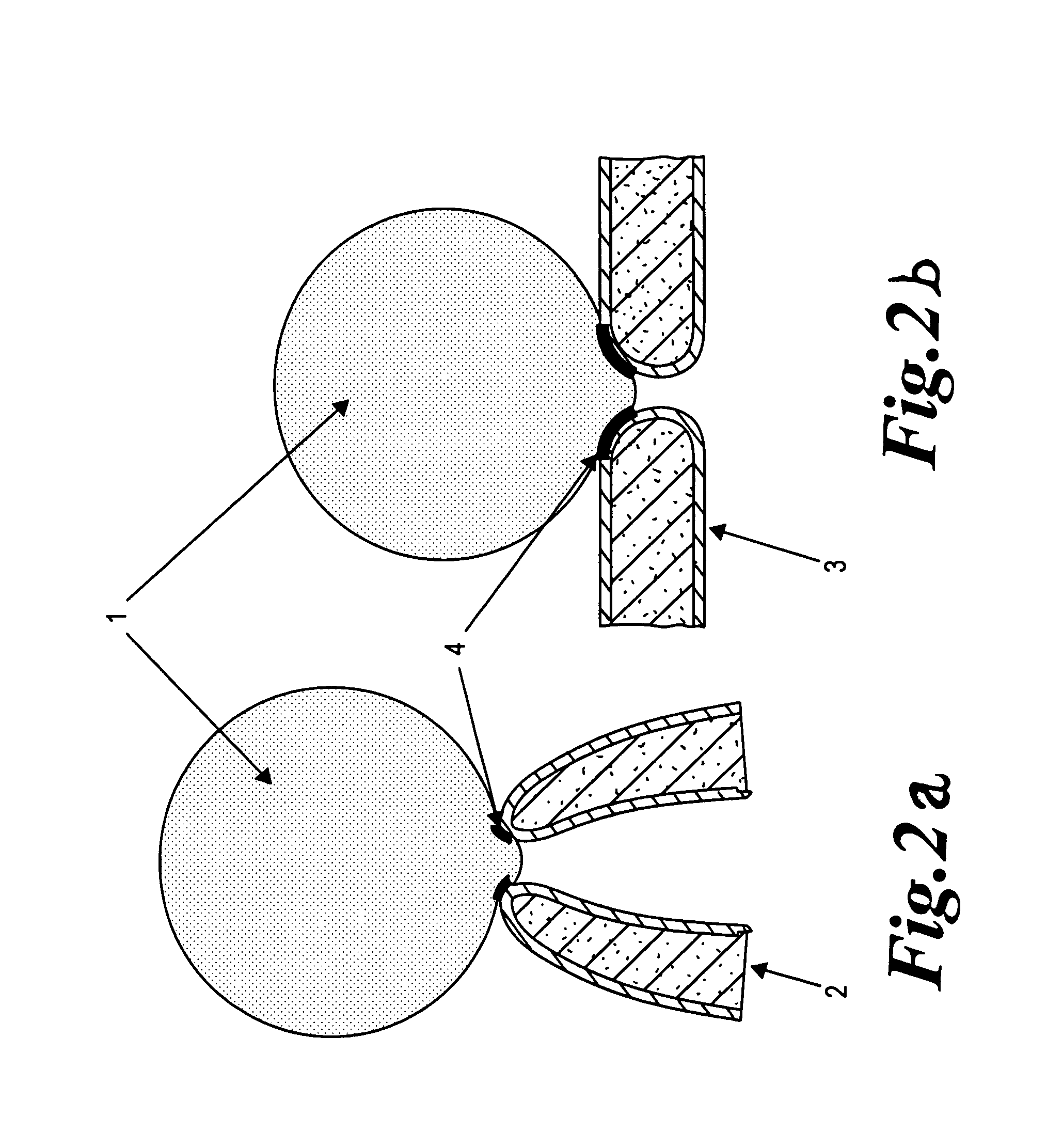 Substrate and method for measuring the electro-physiological properties of cell membranes