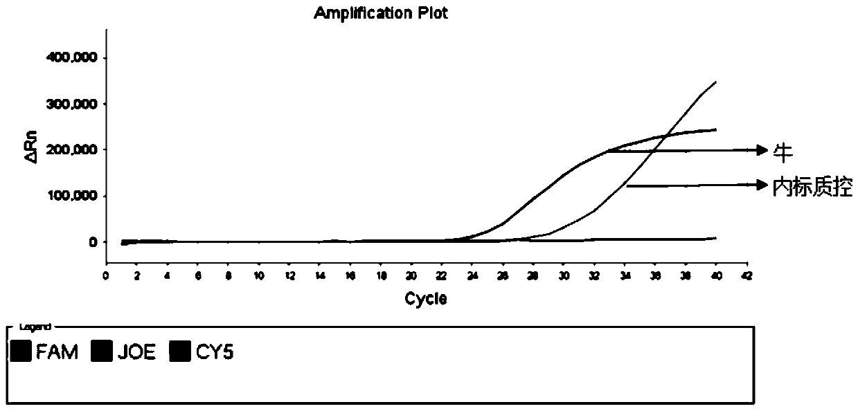 A kind of multiple fluorescent PCR detection primers, probes, kits, detection method and application of deer and bovine origin in deer horn glue