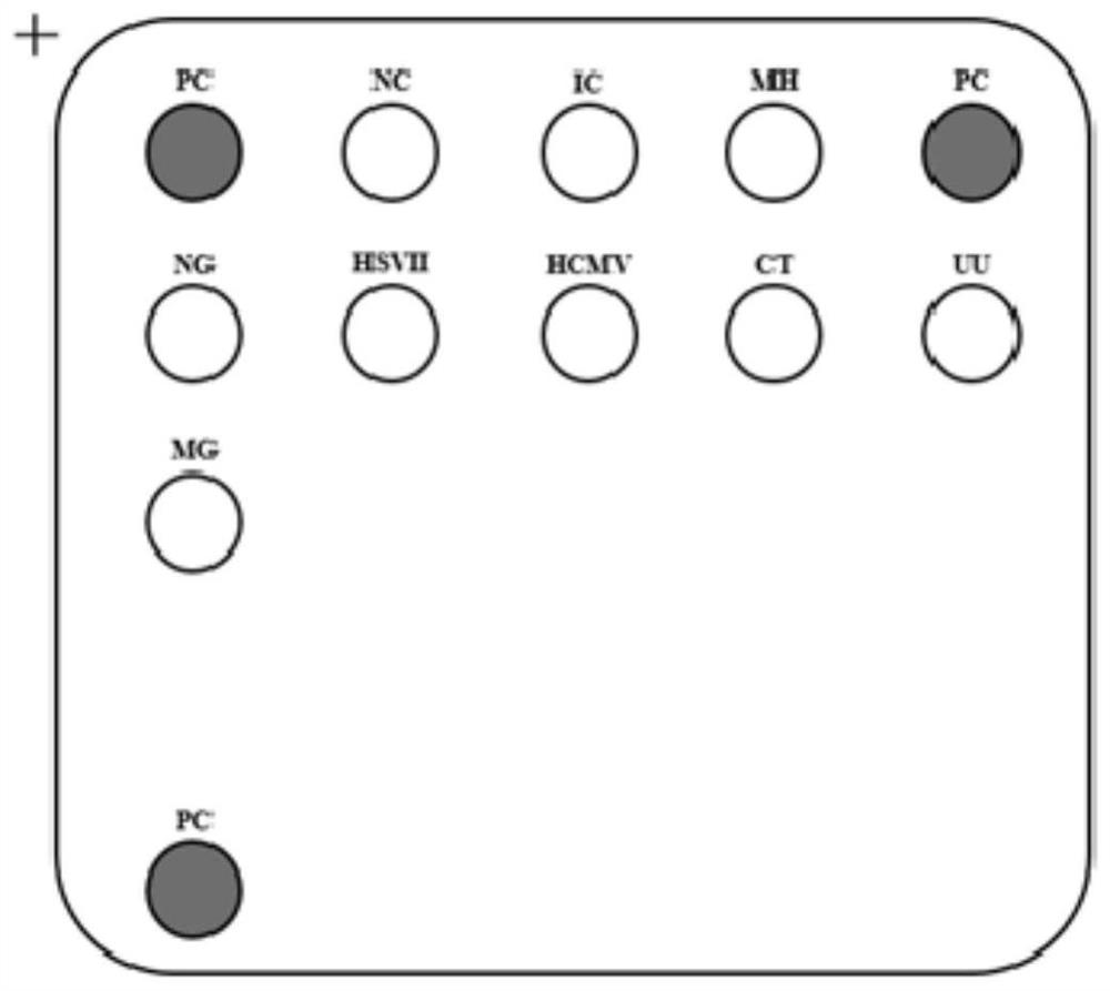 Nucleic acid probe combination, kit and method for detecting common pathogens in genital tracts