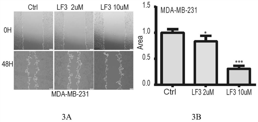 Application of substance LF3 in regulation and control of expression of DCLK2 protein