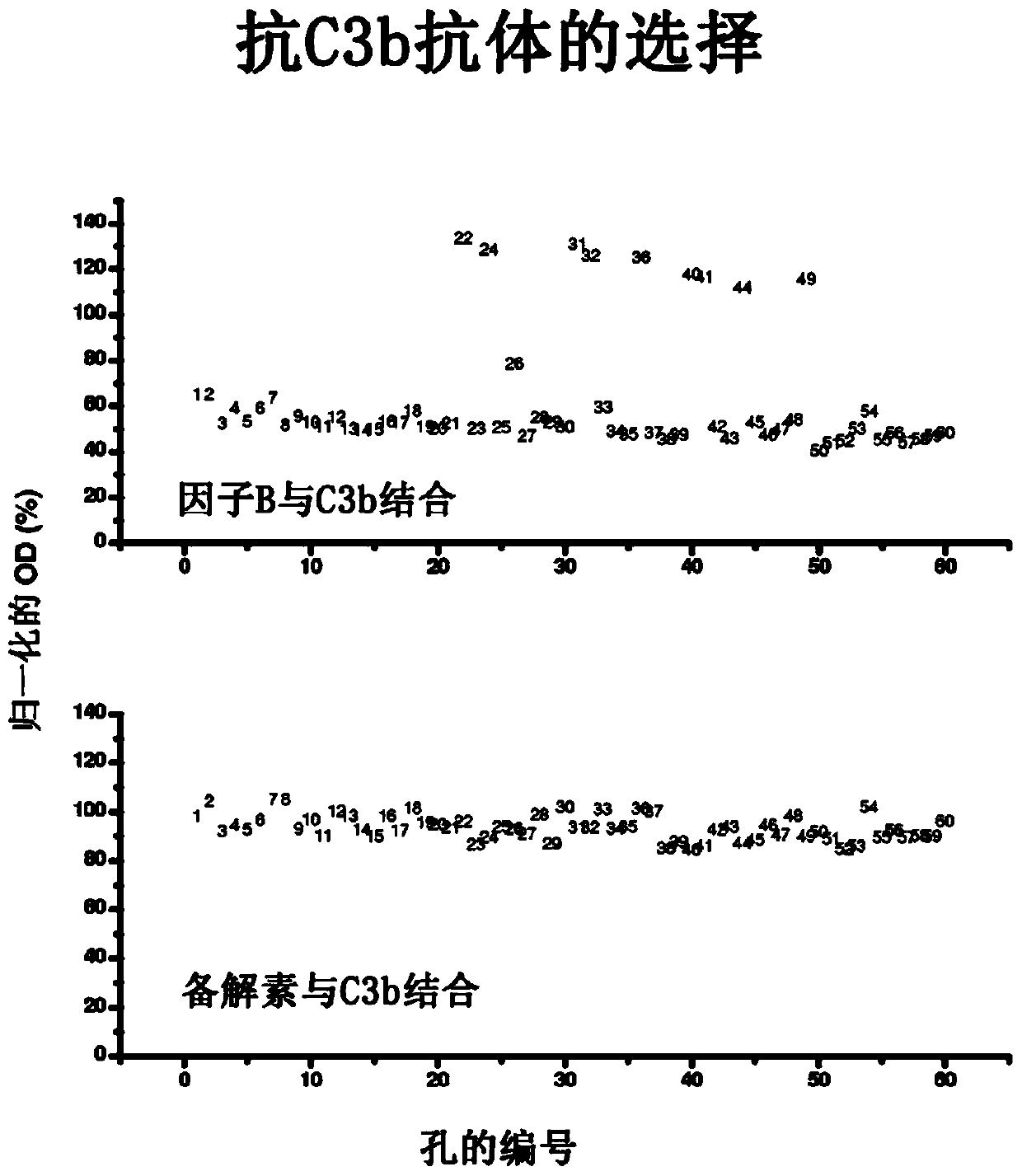 Humanized and chimeric anti-factor c3 antibodies and uses thereof