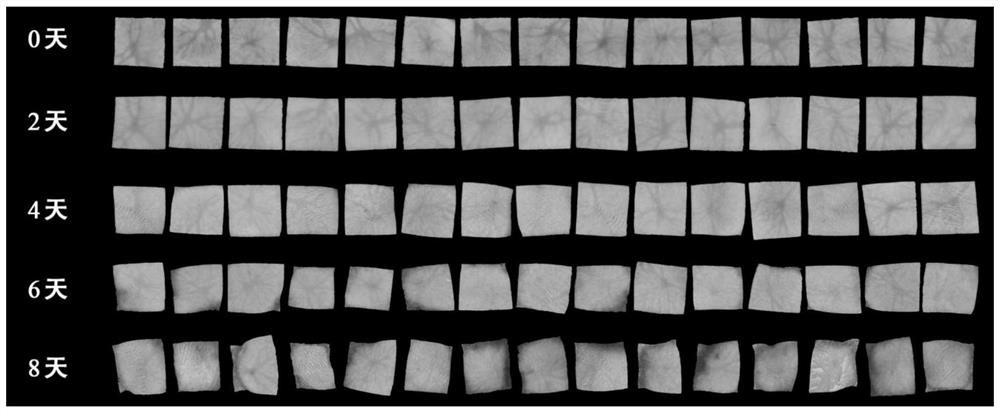 Potato browning detection method based on machine vision