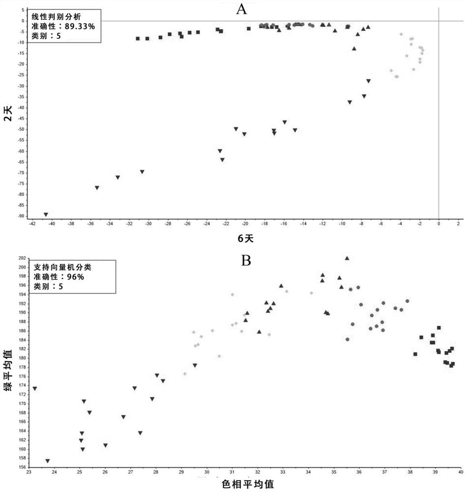 Potato browning detection method based on machine vision