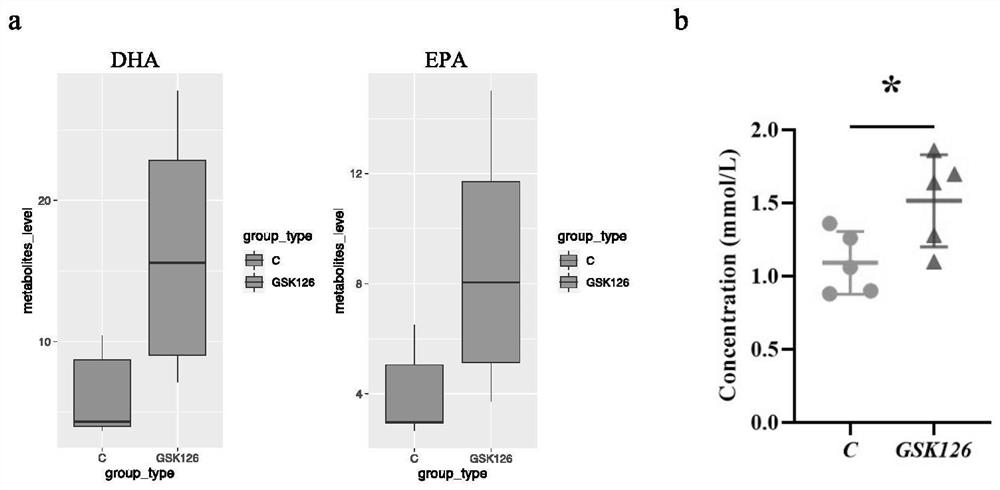 Anti-tumor pharmaceutical composition containing EZH2 inhibitor and polyunsaturated fatty acid inhibitor and application of anti-tumor pharmaceutical composition