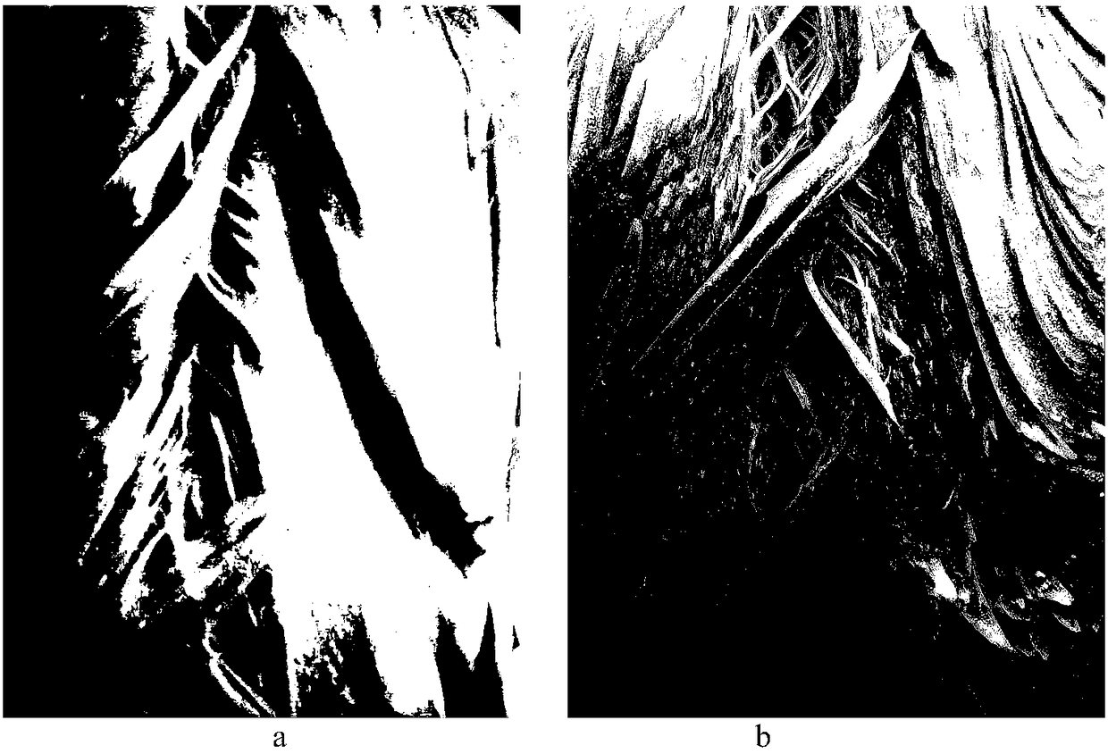 A kind of polysaccharide improving the quality of high-moisture peanut drawing protein