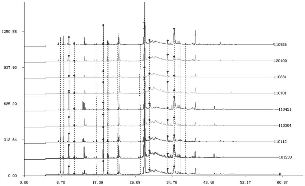 Method for Determination of Curcuma Fingerprint and Its Standard Fingerprint