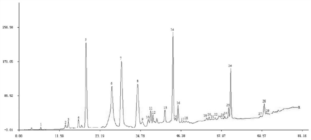 Method for Determination of Curcuma Fingerprint and Its Standard Fingerprint