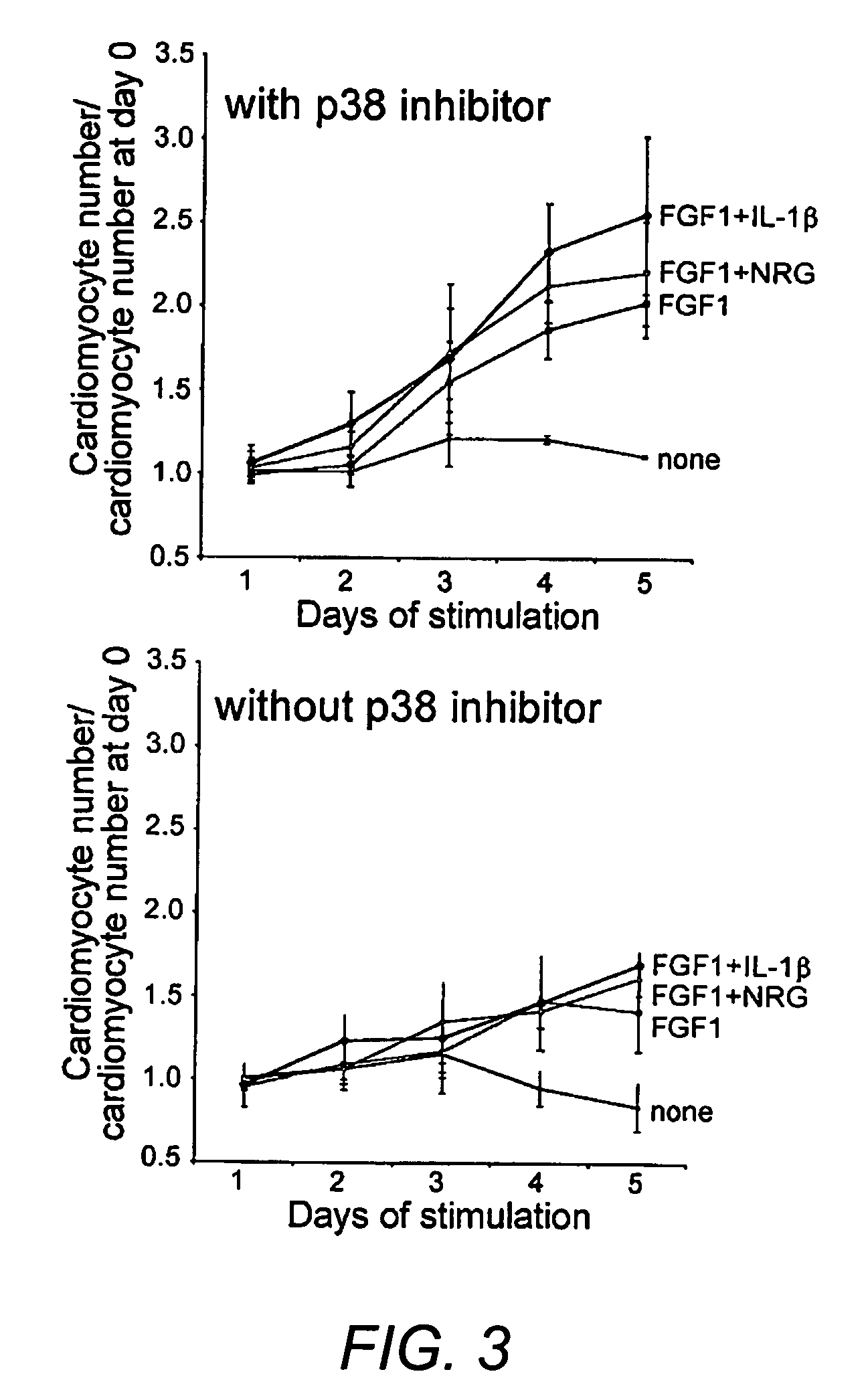 Methods of increasing proliferation of adult mammalian cardiomyocytes through p38 map kinase inhibition