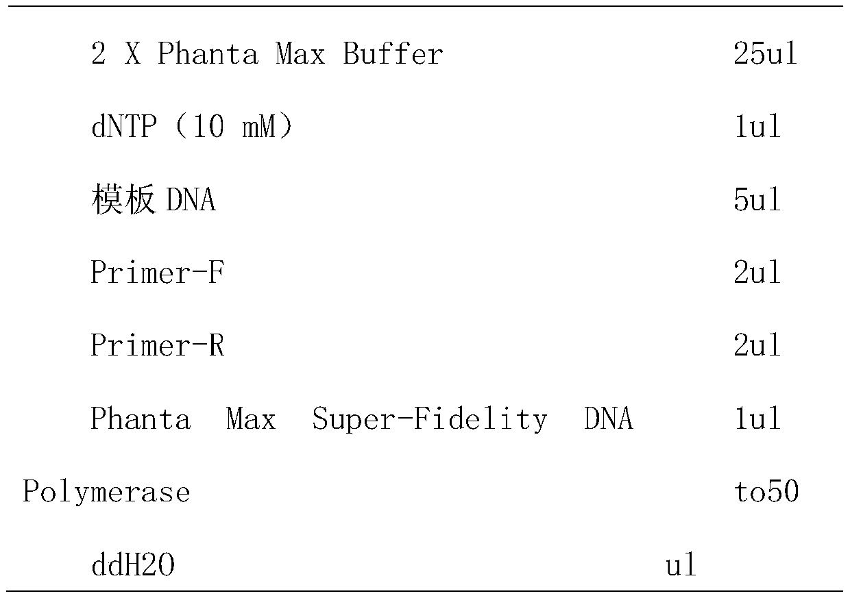 Preparation method of polyclonal antibody for specific recognition of protein MEX3D and application thereof