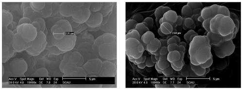Synthesis method and application of crystal violet molecularly imprinted microspheres