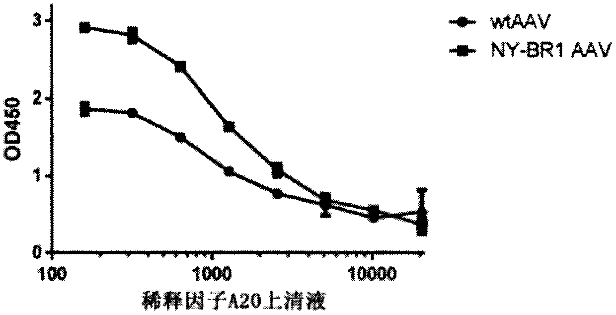 Rationally designed virus-like particles for modulation of chimeric antigen receptor (CAR)-t-cell therapy