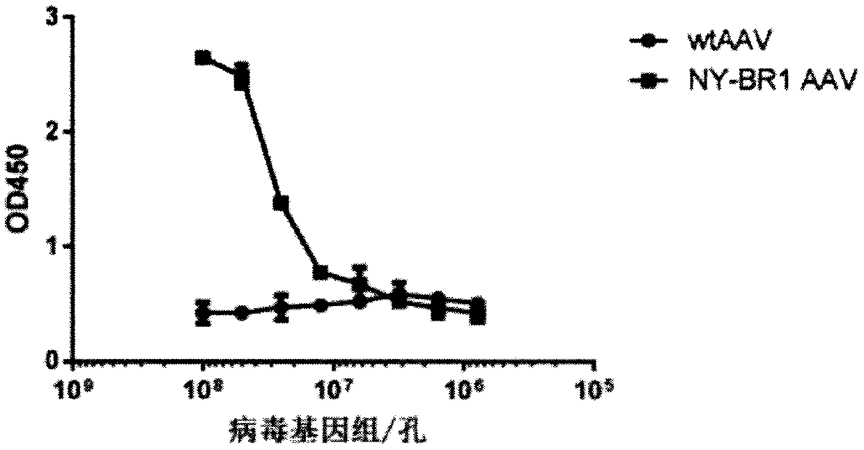 Rationally designed virus-like particles for modulation of chimeric antigen receptor (CAR)-t-cell therapy