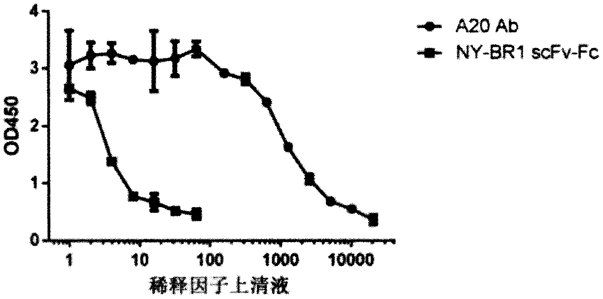 Rationally designed virus-like particles for modulation of chimeric antigen receptor (CAR)-t-cell therapy