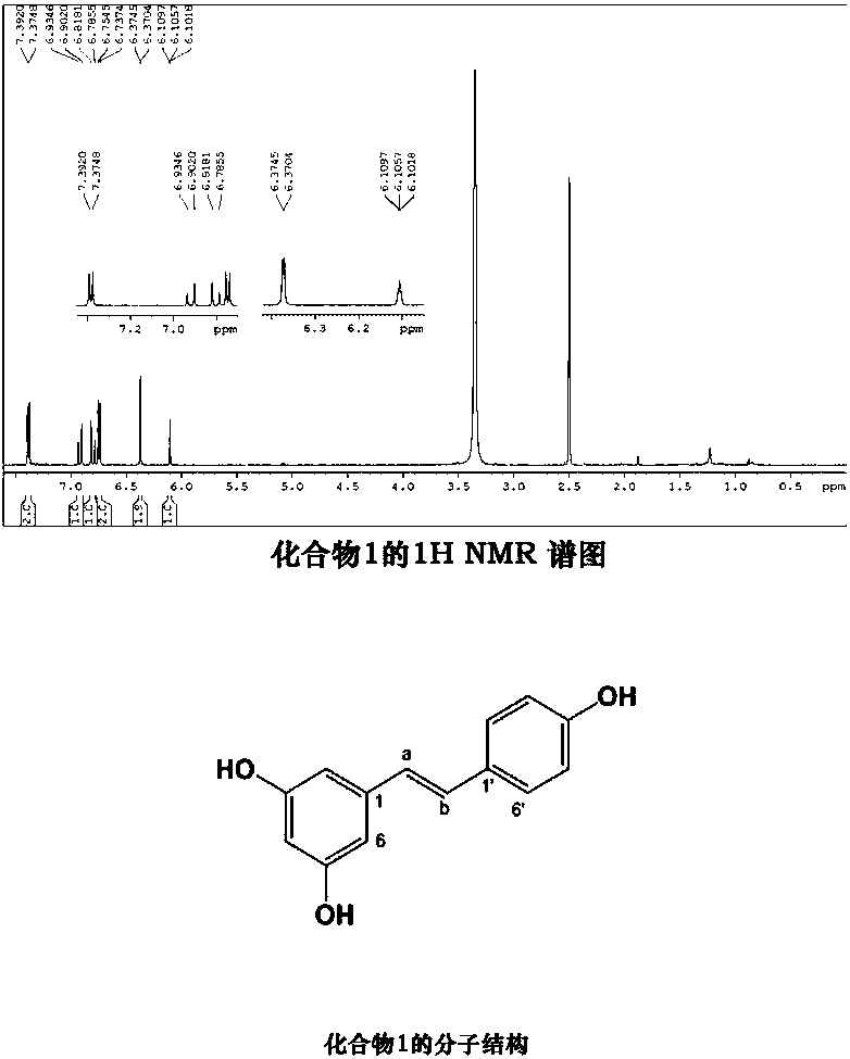 Application of resveratrol and combination of resveratrol and ketoconazole in preparation of medicaments for resisting fungal infection diseases