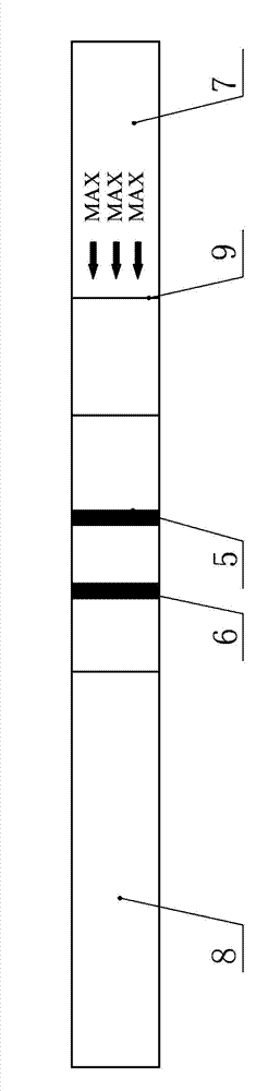 Constant-temperature amplification method of double-labeled nucleic acid and detection test strip