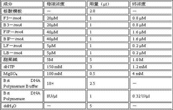 Constant-temperature amplification method of double-labeled nucleic acid and detection test strip