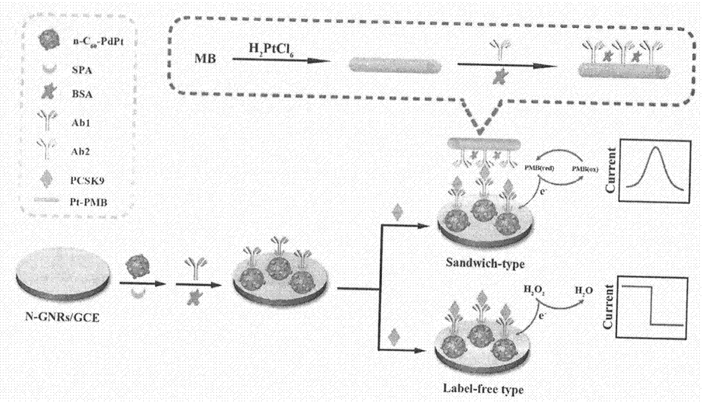 Method for preparing electrochemical immunosensor for pcsk9 protein detection