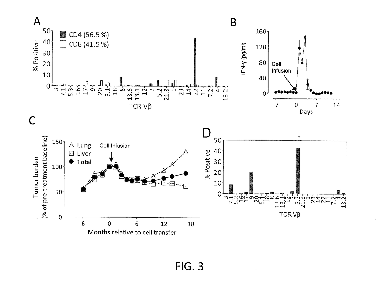 Methods of isolating t cells having antigenic specificity for a cancer-specific mutation