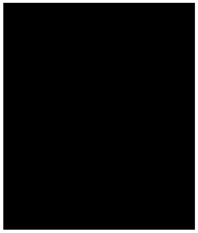 Detection method of rice cadmium tolerance and selection method of cadmium tolerant rice