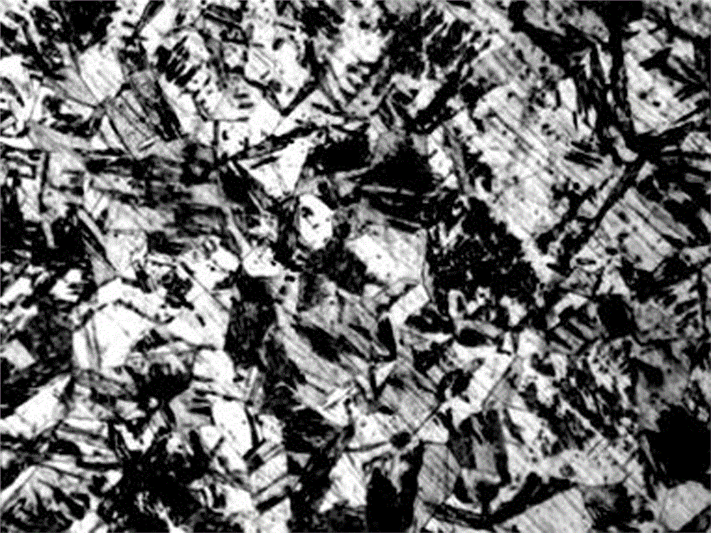 Metallographic corrosive liquid used for 304L stainless steel and preparation method and corroding method thereof