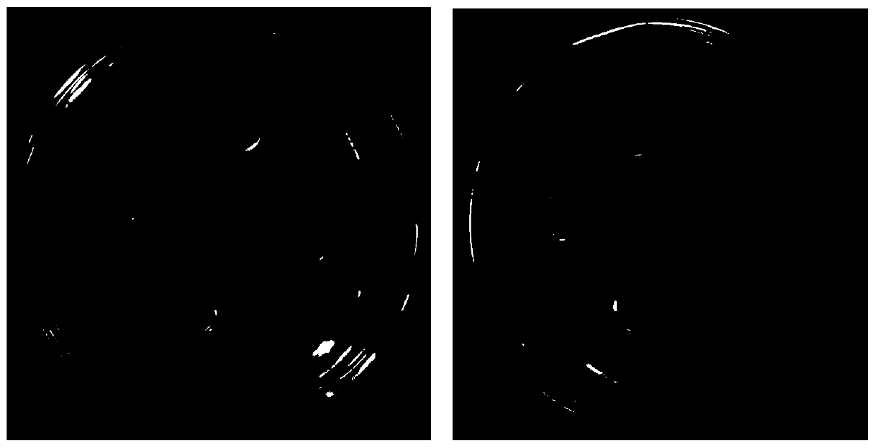 Berberine hydrochloride-matrine-carboxymethyl chitosan composite hydrogel and preparation method and application thereof