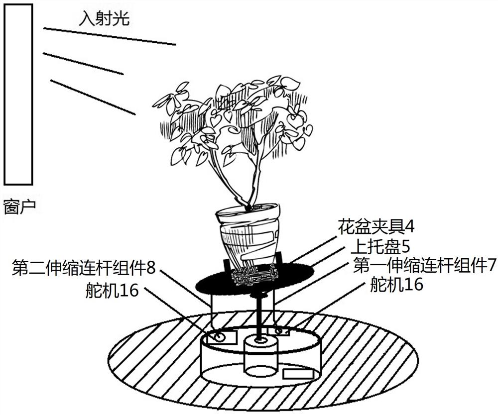 A kind of plant bonsai light shaping guidance system and method