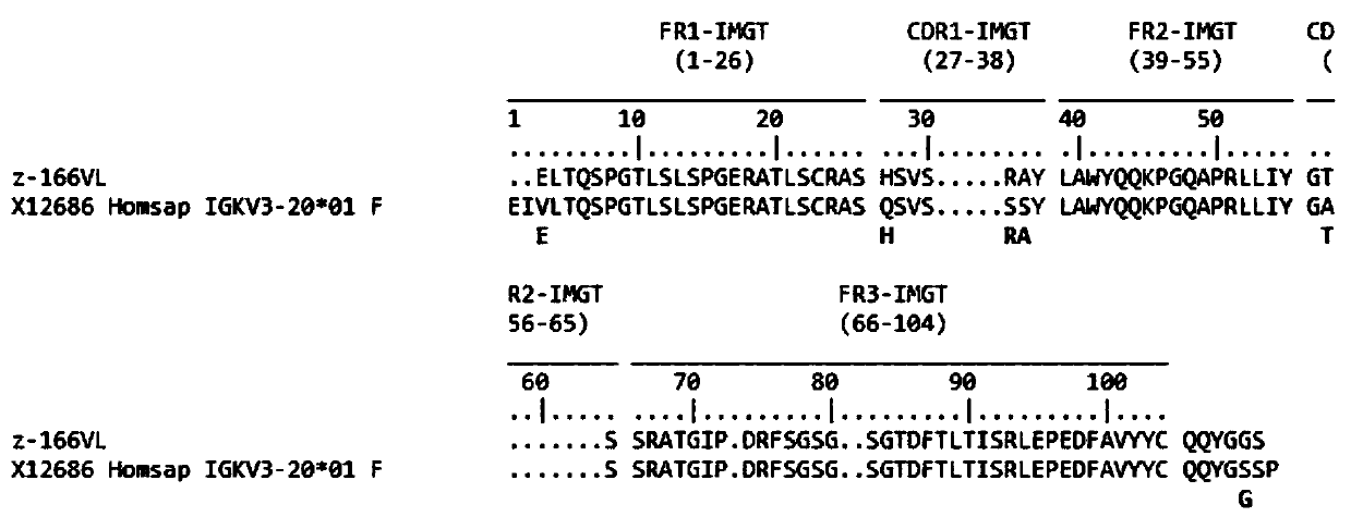 Human anti-HIV gp 120 specific antibody Z166 and application method thereof