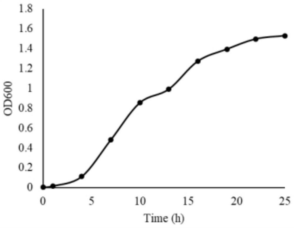 Aeromonas cainea W3 capable of degrading typical fluoroquinolone antibiotics and application thereof