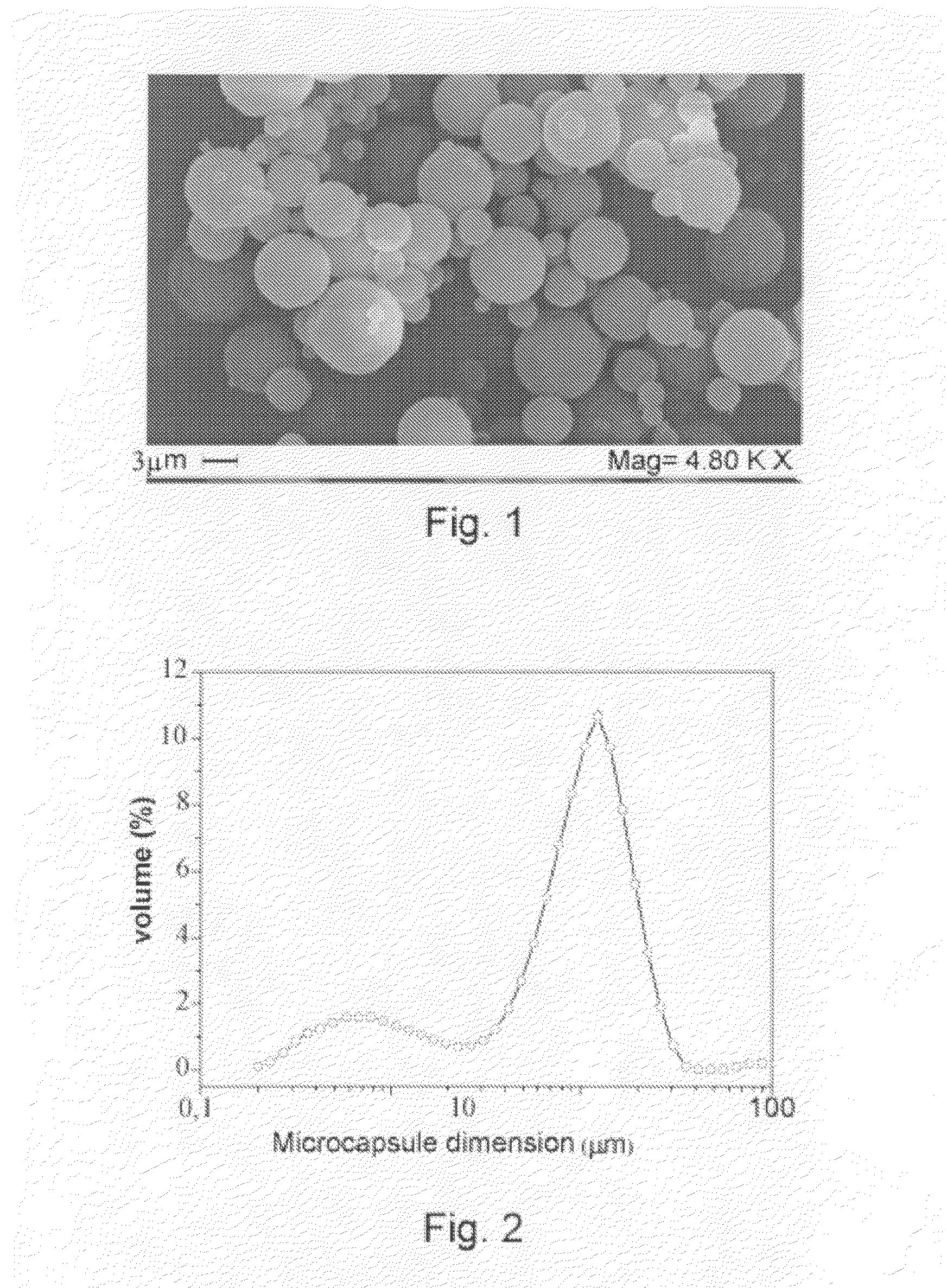 Composition Having a Germination-Preventing Activity, Processes For Obtaining Said Compositions and Use thereof