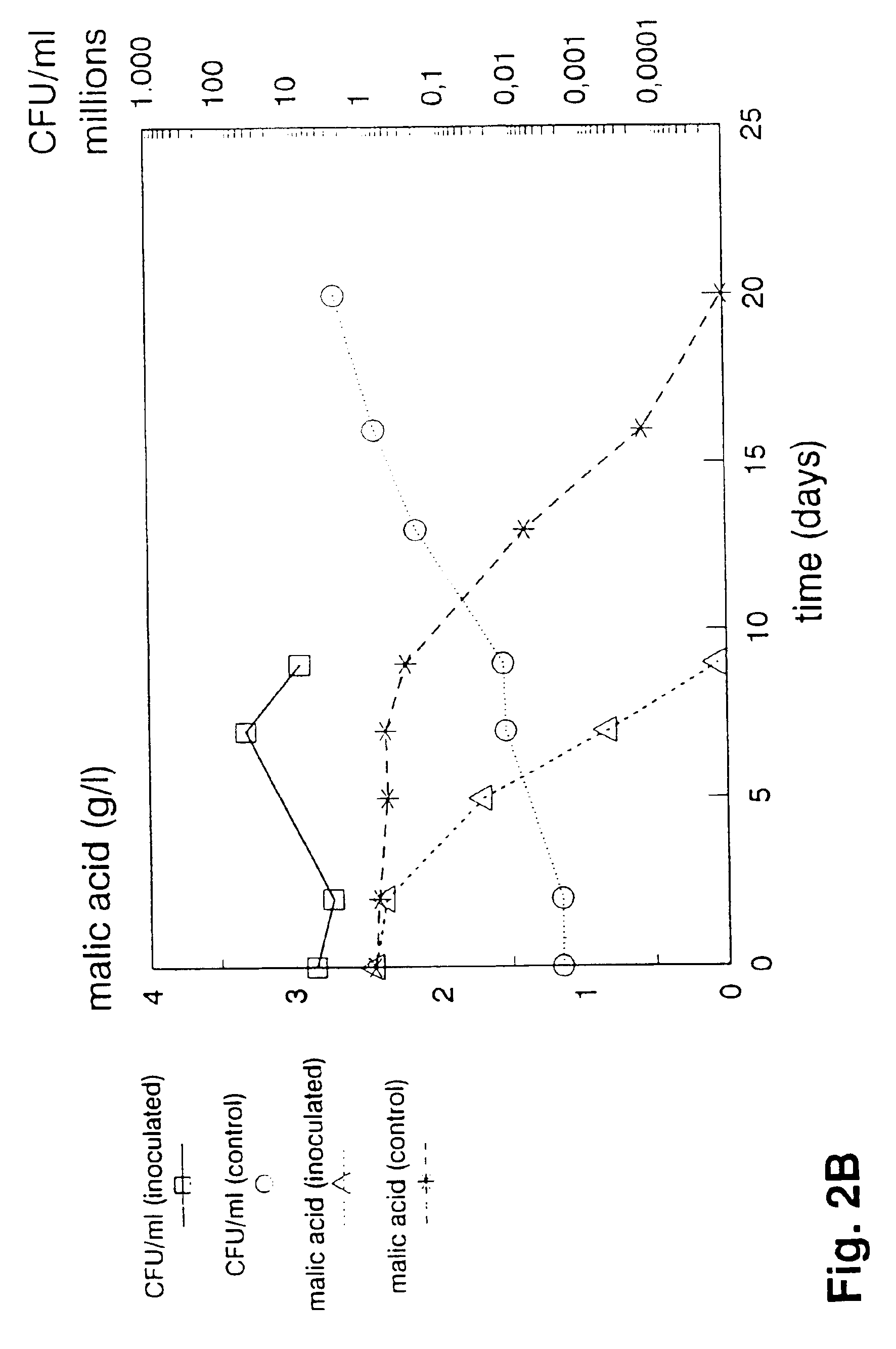 Method of inducing malolactic fermentation in wine or fruit juice by direct inoculation with a non-activated started culture