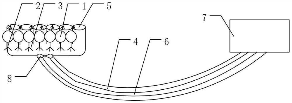 Enteromorpha automatic salvage and dehydration system and monitoring method based on big data analysis and monitoring