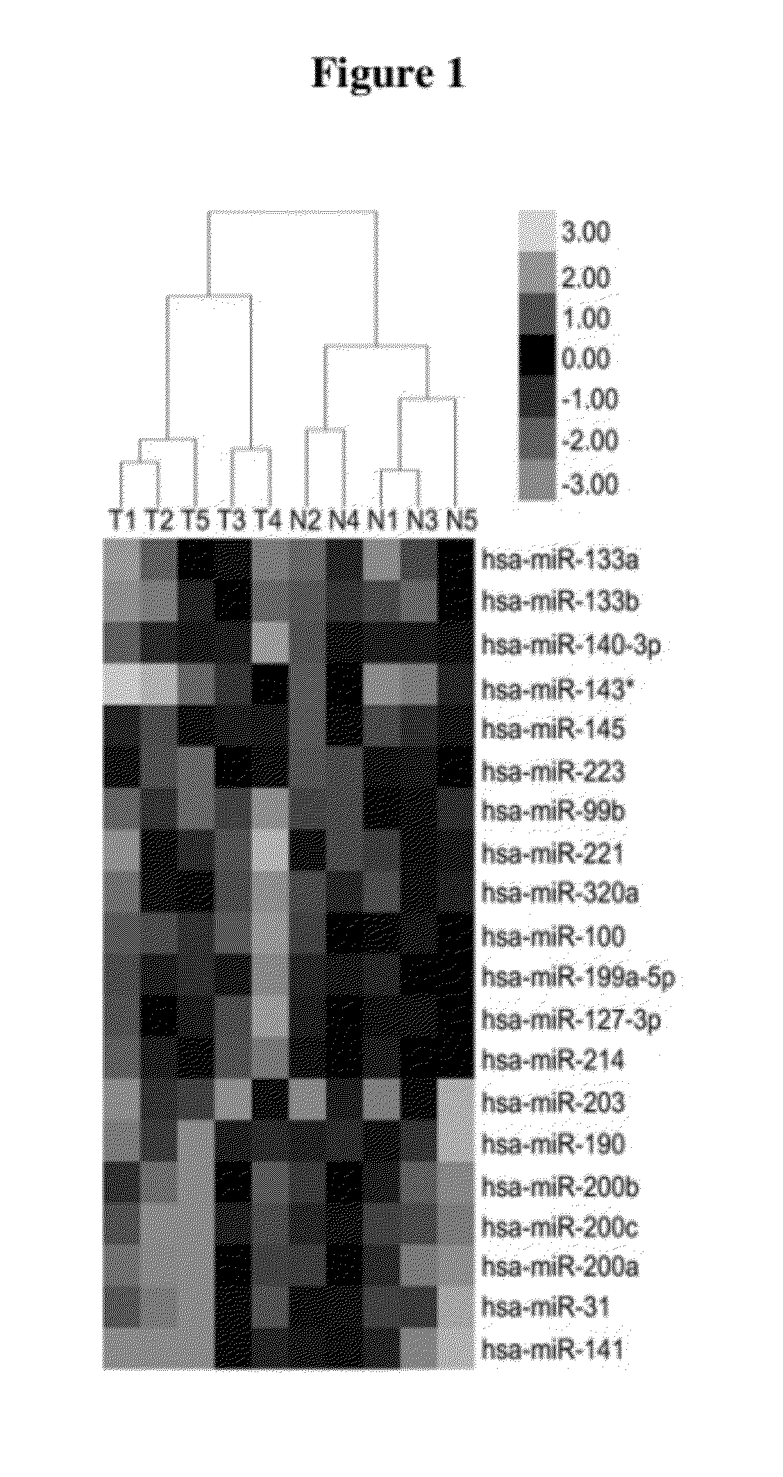 Methods and compositions for the diagnosis and prognosis of cervical intraepithelial neoplasia and cervical cancer