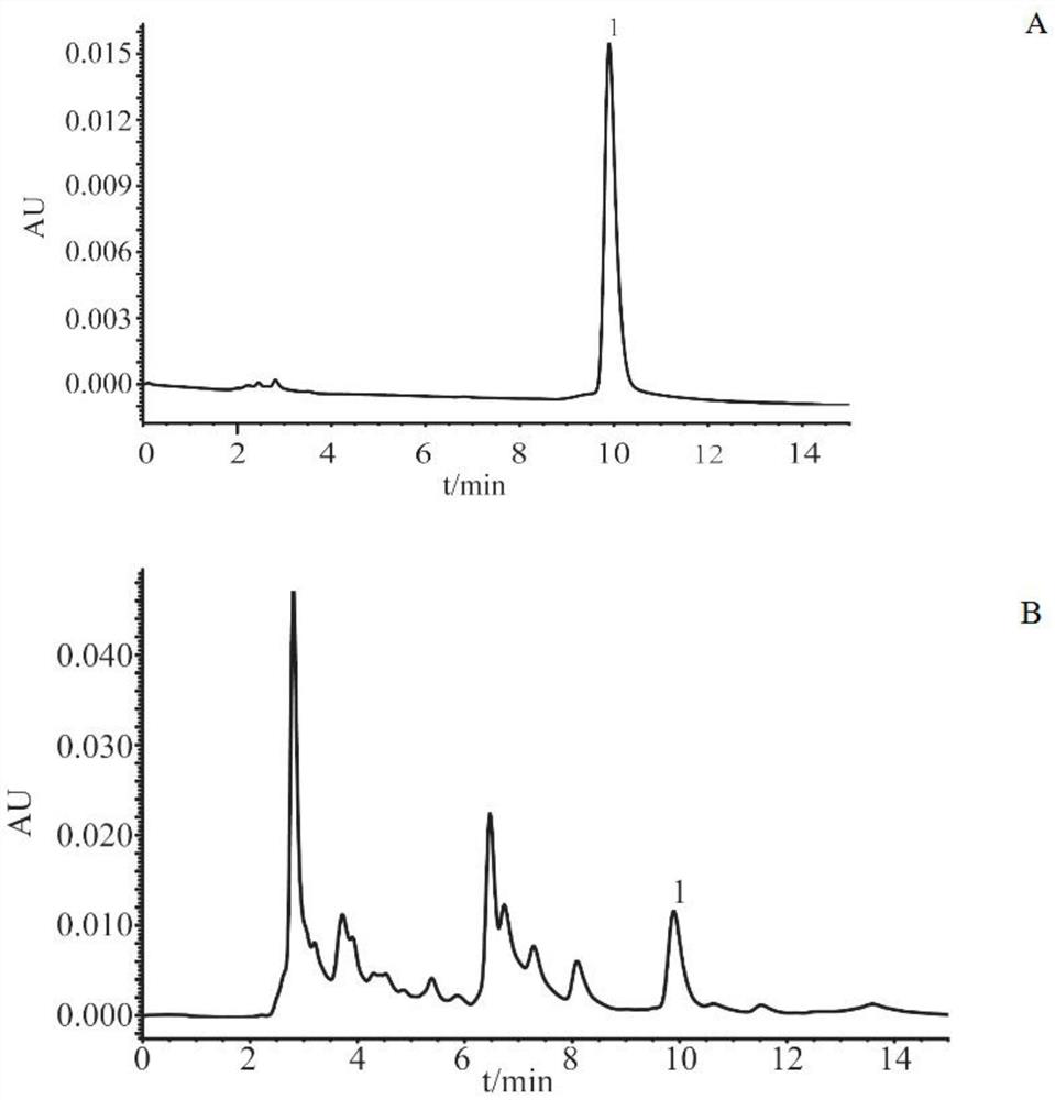 Near-infrared online quality detection method for rehmannia
