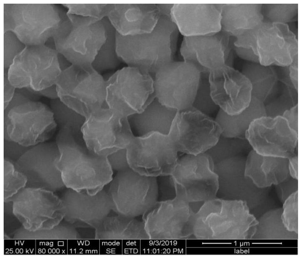 A kind of positive electrode material of lithium-sulfur battery and preparation method thereof