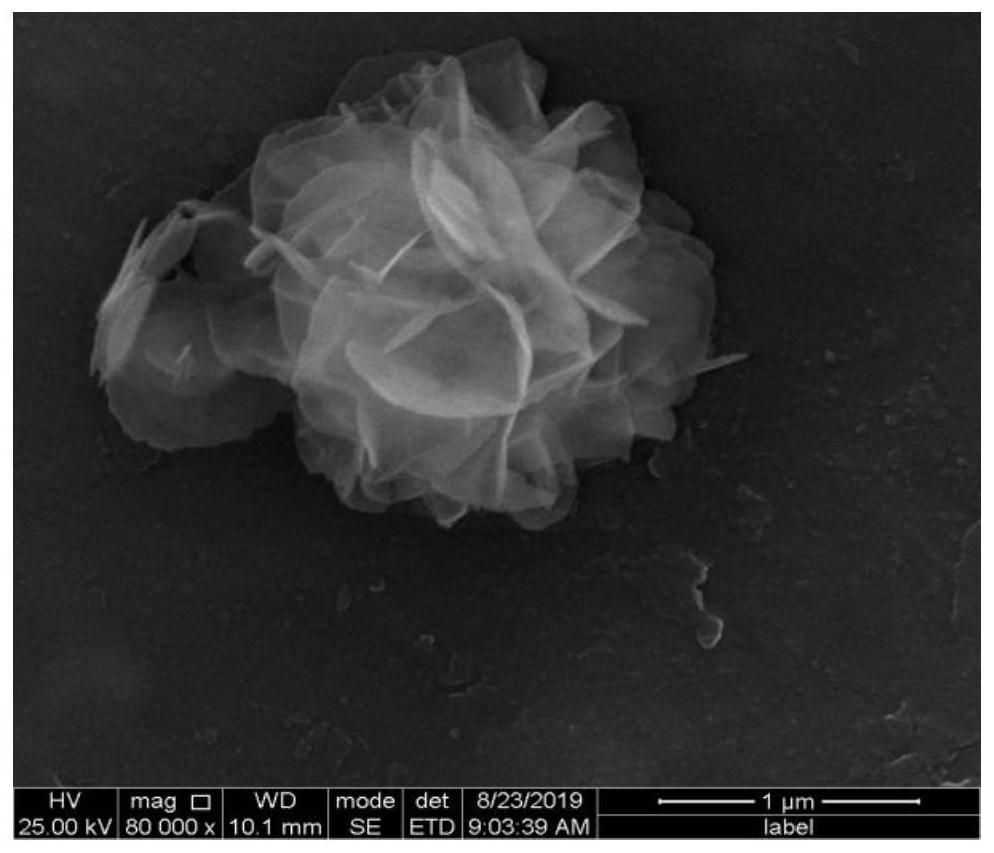 A kind of positive electrode material of lithium-sulfur battery and preparation method thereof