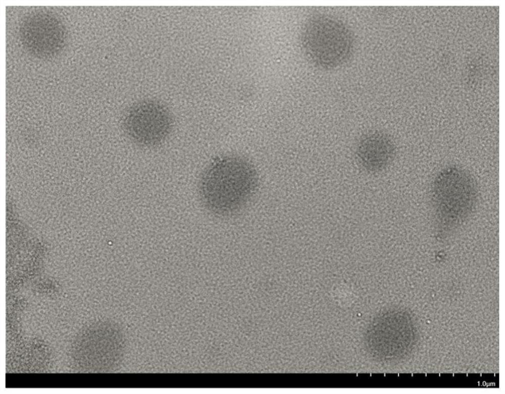 A kind of fluorescent gold nanocluster aggregate and preparation method thereof