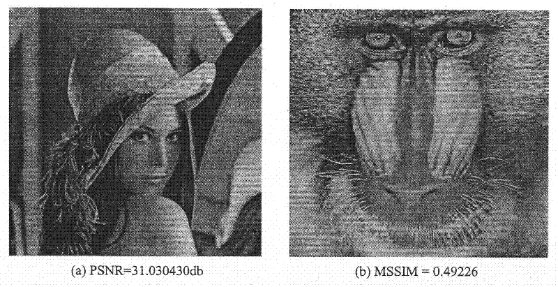 Low Bit Rate Image Compression Method Based on Downsampling and Interpolation