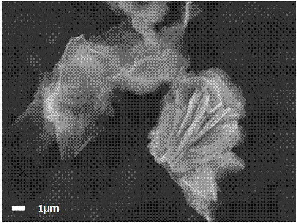 Graphene-modified vanadium disulfide micrometer flower material, preparation method thereof and application of graphene-modified vanadium disulfide micrometer flower material as aluminum ion battery cathode material